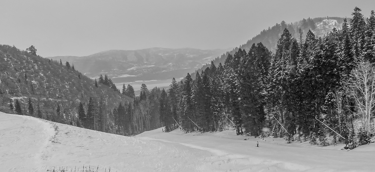 a snow covered mountain with trees